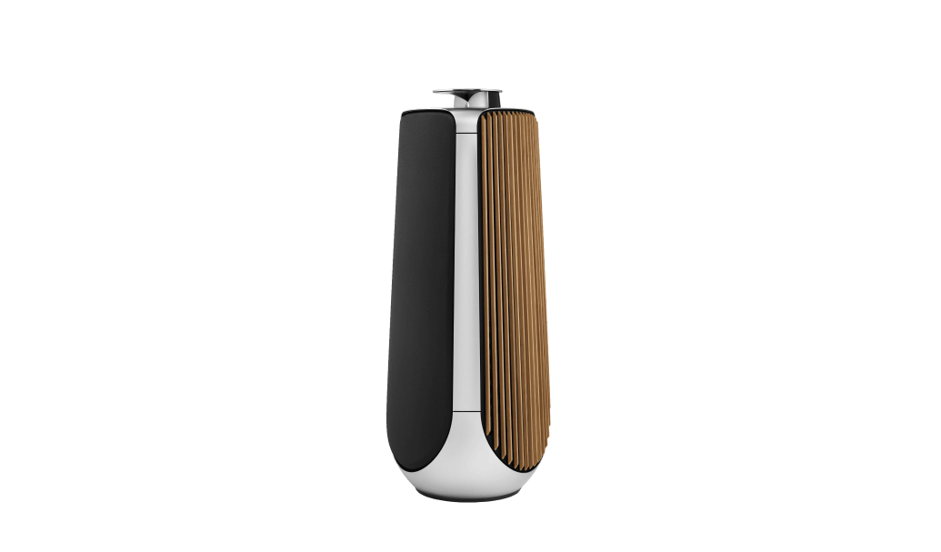 BeoLab 50 kaufen.